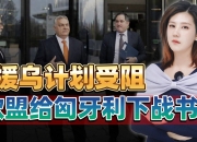 九游官网入口下载-关于匈牙利硬战晋级，斩获小组第二的信息