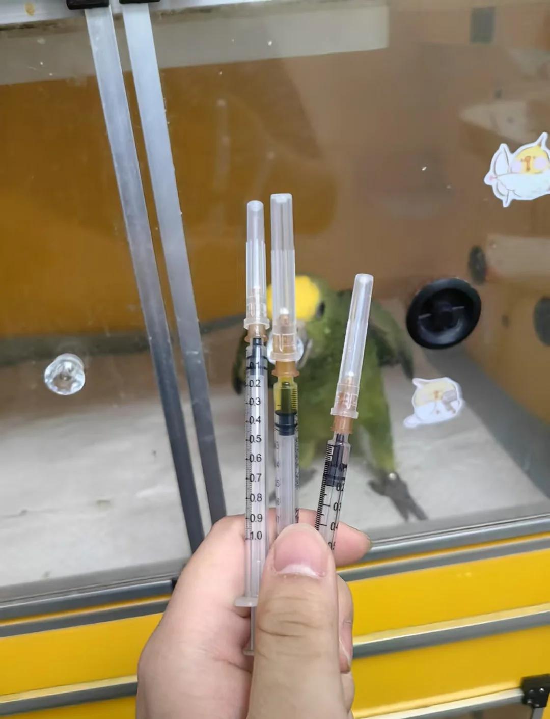 瓦朗谢纳失利不幸，面临艰难境地